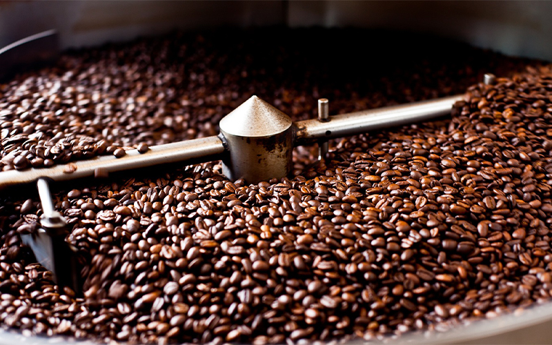 Cách sản xuất cà phê Robusta tại DAKIFOOD