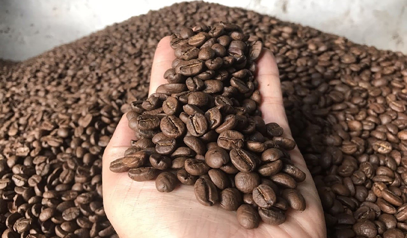 Hình dáng hạt cà phê Robusta